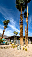 Canon- Palm Springs Mid Cent Modern Walk Tour