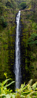 Hawaii: Akaka Falls- Akaka Falls State Park