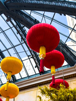 Phone- Las Vegas Bellagio Conservatory & Botanical Garden