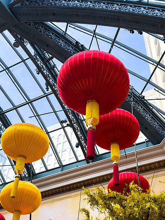 Phone- Las Vegas Bellagio Conservatory & Botanical Garden