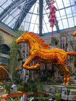 Phone- Las Vegas Bellagio Conservatory & Botanical Garden