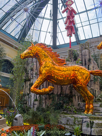 Phone- Las Vegas Bellagio Conservatory & Botanical Garden