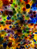 Phone- Las Vegas Bellagio Dale Chihuly glass celing exhibit