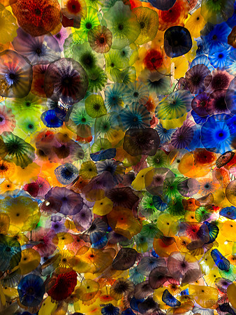 Phone- Las Vegas Bellagio Dale Chihuly glass celing exhibit