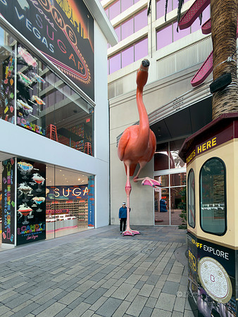 Phone- Las Vegas Flamingo Hotel