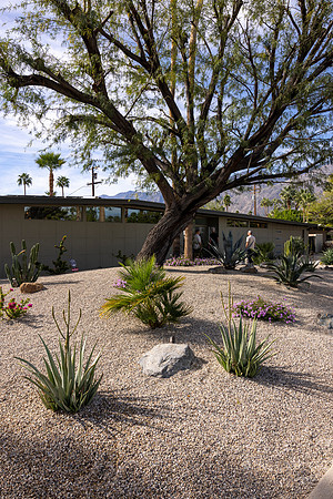 Canon- Palm Springs Mid Cent Modern Walk Tour