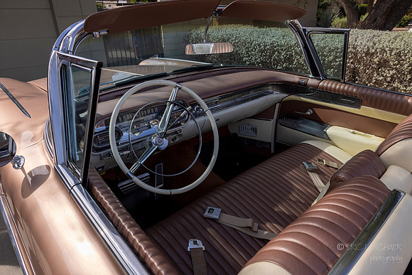 Canon- Palm Springs Mid Cent Modern Walk Tour