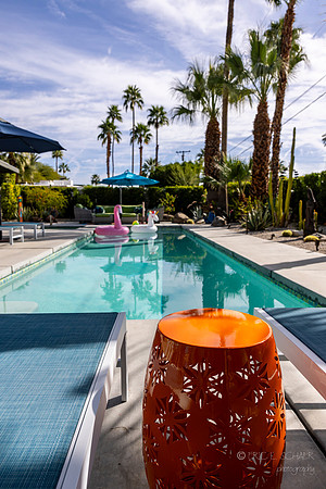 Canon- Palm Springs Mid Cent Modern Walk Tour