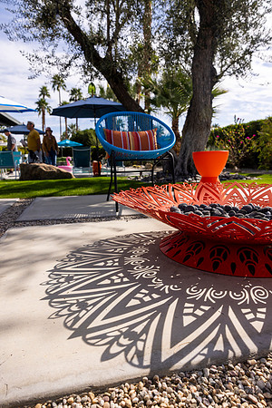 Canon- Palm Springs Mid Cent Modern Walk Tour