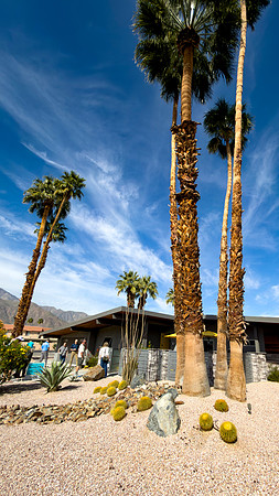 Canon- Palm Springs Mid Cent Modern Walk Tour