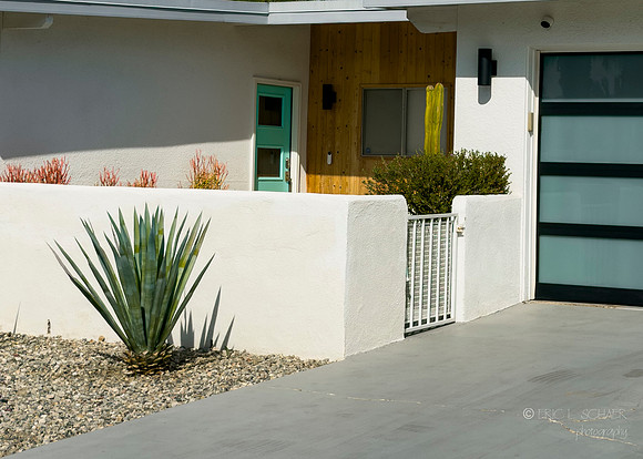 Canon- Palm Springs Mid Cent Modern Walk Tour
