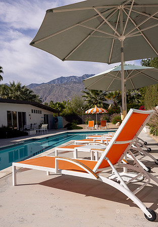 Canon- Palm Springs Mid Cent Modern Walk Tour