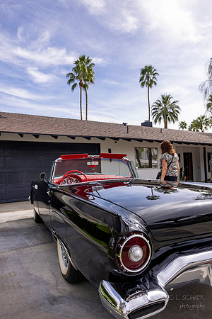 Canon- Palm Springs Mid Cent Modern Walk Tour