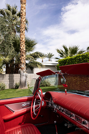 Canon- Palm Springs Mid Cent Modern Walk Tour