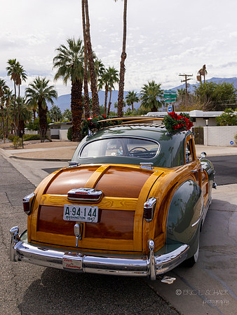 Canon- Palm Springs Mid Cent Modern Walk Tour
