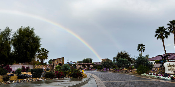 Phone- Palm Desert Rainbow