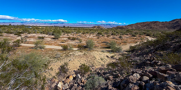 Canoon- The Living Desert Zoo & Gardens