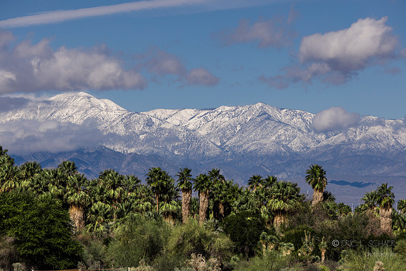 Canoon- The Living Desert Zoo & Gardens
