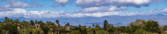Canoon- The Living Desert Zoo & Gardens