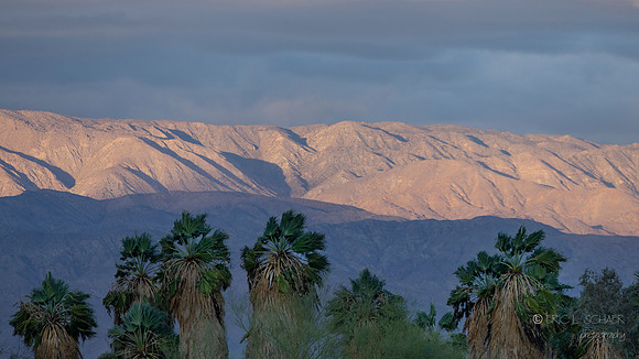 Canon- The Living Desert Zoo & Gardens
