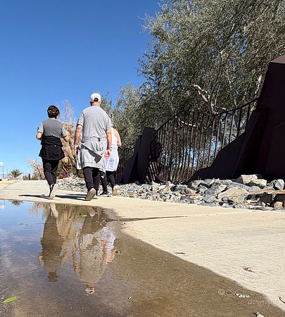 Phone- Walk Palm Desert