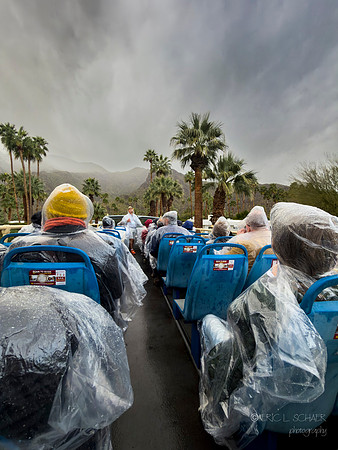 Phone- Rain & wind Palm Springs bus tour
