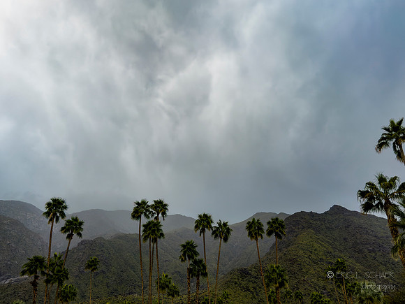 Phone- Rain & wind Palm Springs bus tour
