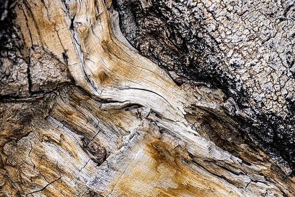 Canon- Palm Desert- Randal Henderson Hike