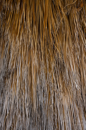 Canon- Palm Desert- Randal Henderson Hike
