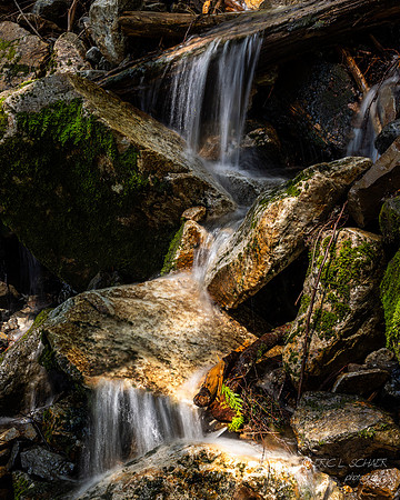 Stream Detail