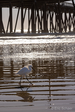 Pismo Beach Pier
