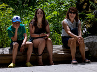 Family