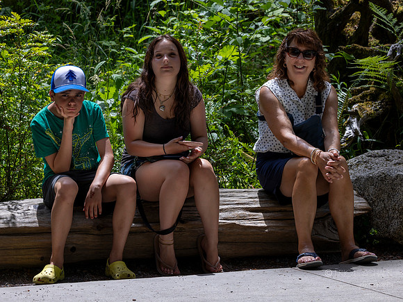 Family