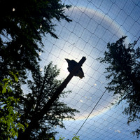 Sun Halo-sunlight bending through microscopic hexagonal ice crystals suspended in high-altitude clouds
