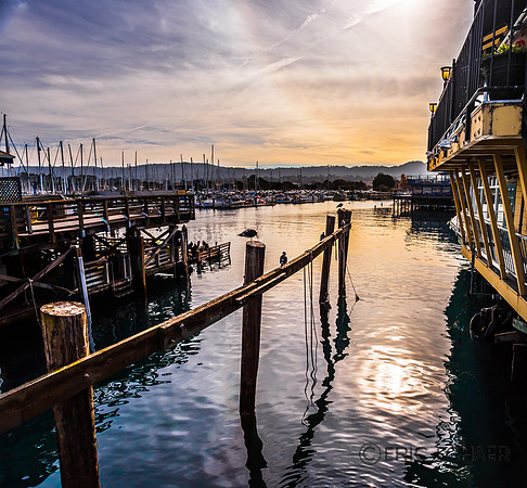 The Bay-Monterey Calif