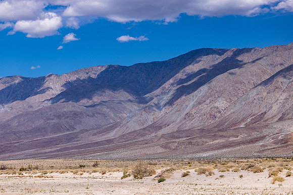 Anza- Borrego Desert- Wildflower Spring Area north of Hwy S22