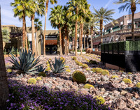 Shops El Paseo- Courtyard Landscape