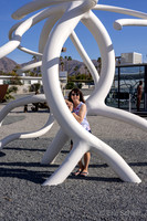 Shops El Paseo- Sculpture Garden