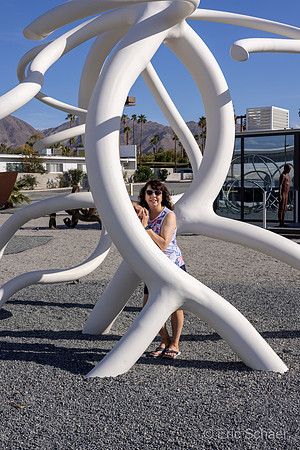 Shops El Paseo- Sculpture Garden