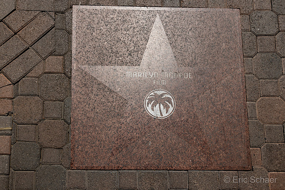 Marilyn Monroe Sidewalk Star