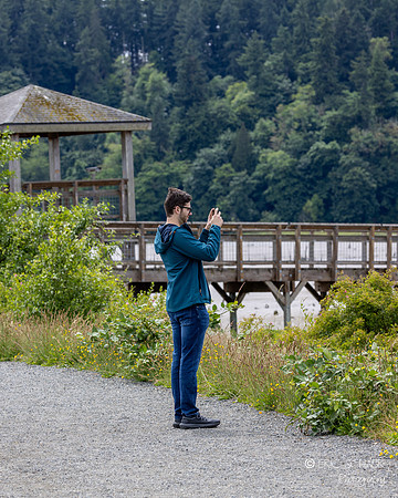 Tidelands Elevated Wooden Walkway