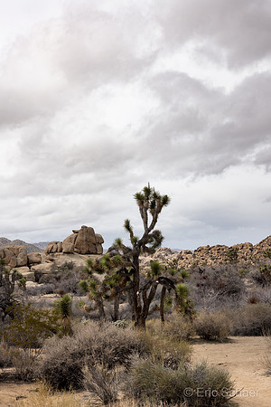 Barker Dam Trail