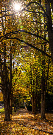 Town of Snoqualmie