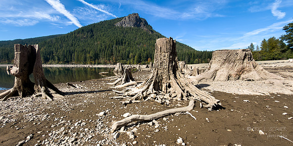 Rattlesnake Lake