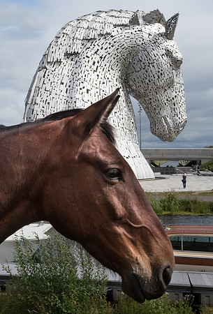 The Kelpies in Falkirk- 100' tall steel horses