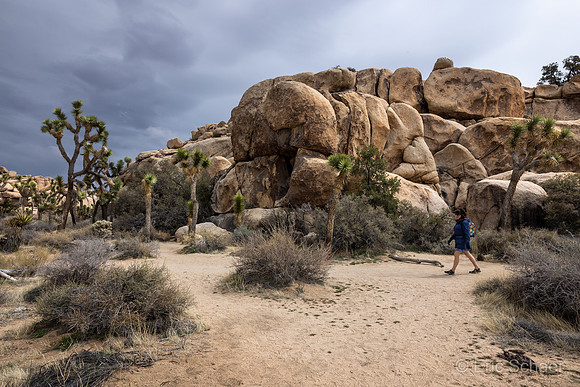 Barker Dam Trail