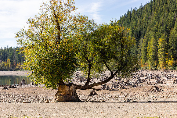 Rattlesnake Lake