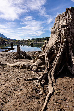 Rattlesnake Lake