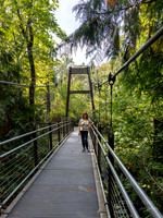 Bellevue Botanical Gardens