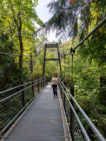 Bellevue Botanical Gardens